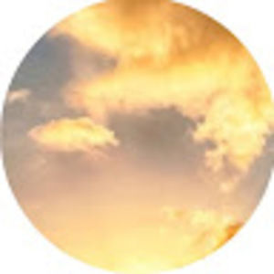 Meet your Posher, Timi